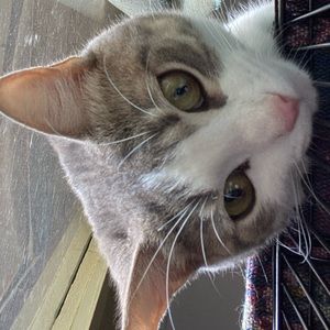 Meet your Posher, Tyarn